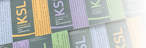 verschiedene Broschüren der Schriftenreihe nebeneinander