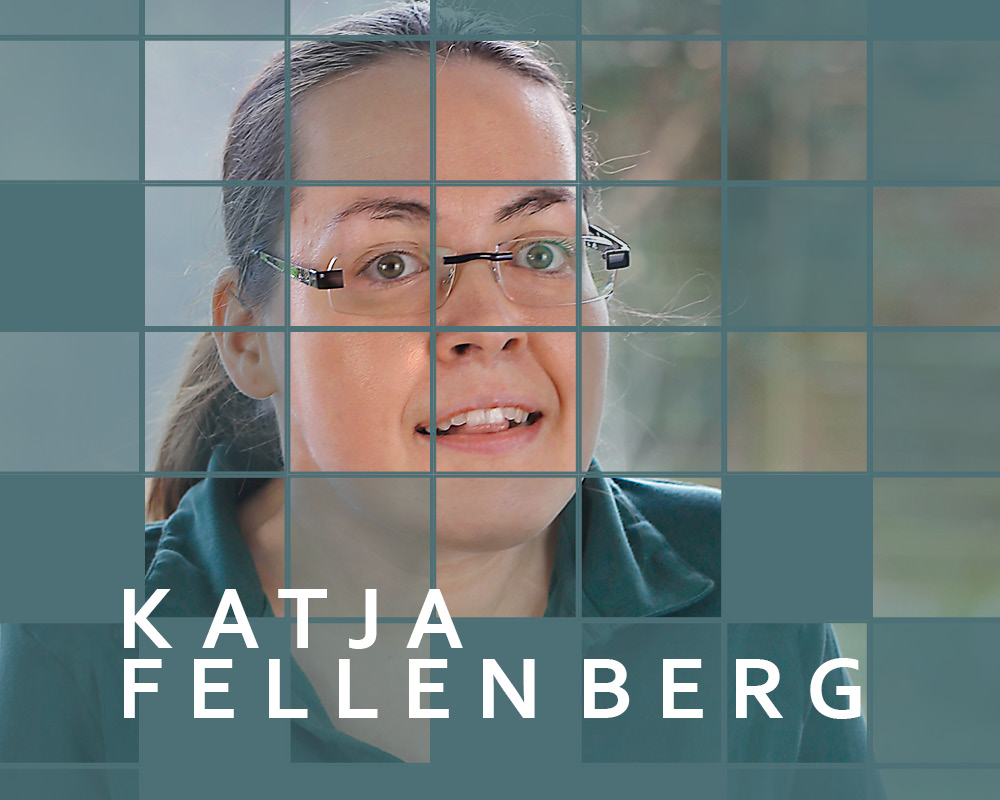 Ich arbeite, zahle Steuern, Sozialabgaben, leiste etwas und schaffe krisenfeste Arbeitsplätze – und trotzdem bin ich von wirtschaftlichem Abstieg bedroht. Katja Fellenberg