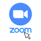 Logo von Zoom