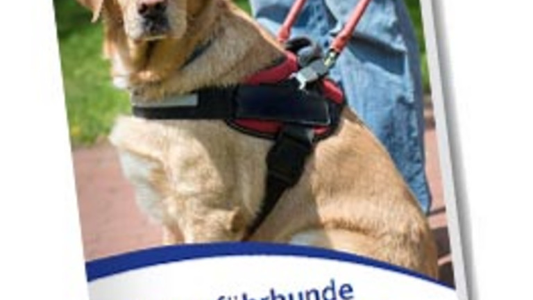Ein Bild des Faltblattes. Ein Blindenführhund schaut direkt in die Kamera.