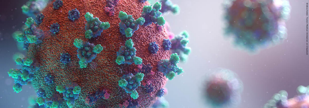 Computergrafik von einem Virus stark vergrößert Computergrafik von einem Virus stark vergrößert