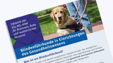 Ein Bild des Infoblattes. Ein Blindenführhund schaut direkt in die Kamera.