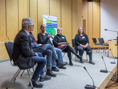 Experten*innen diskutieren über das Persönliche Budget.